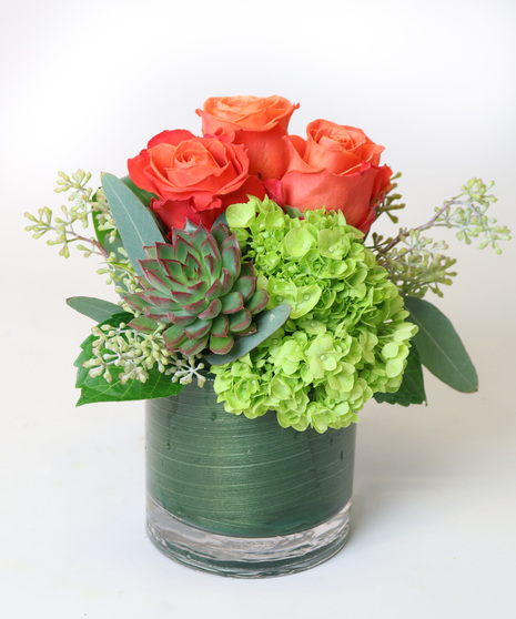 Succulent Sunset Bridgeport Connecticut - Same-day Delivery
