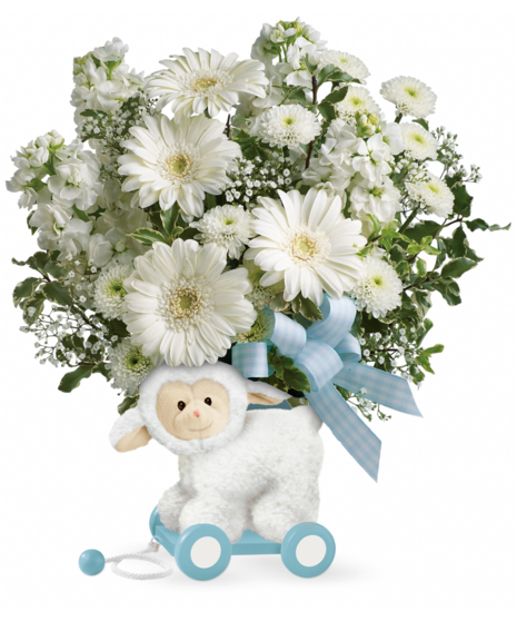 Lamby Blue