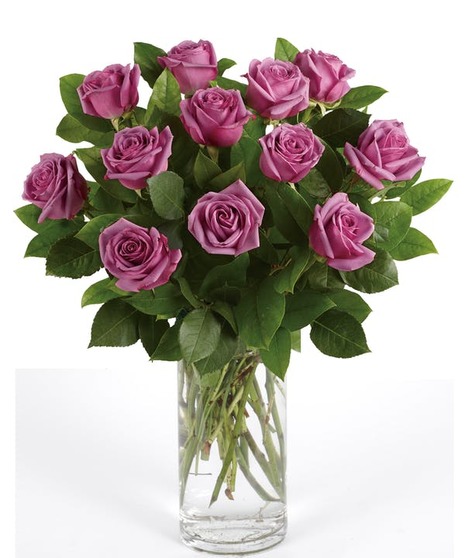 Lavender Roses