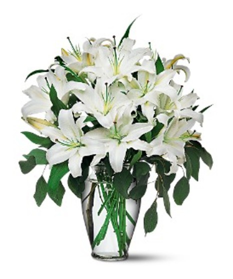 Casablanca Lilies