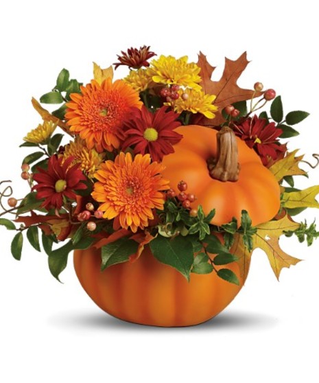 Somethin' Pumpkin Bqt