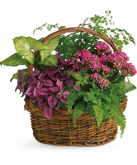 Blooming Garden Basket