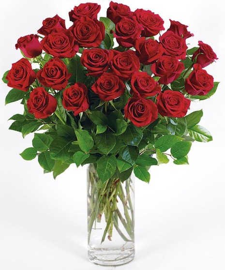 Roses