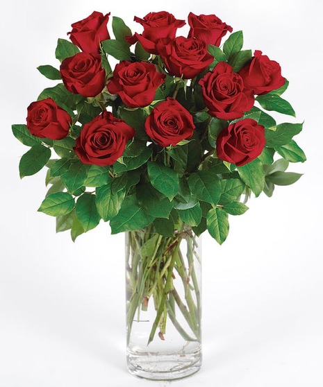 City Line Signature Rose - select your color
