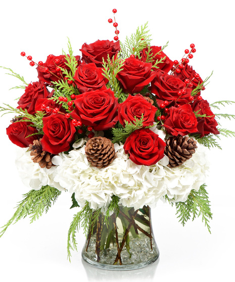 Snowcapped Roses