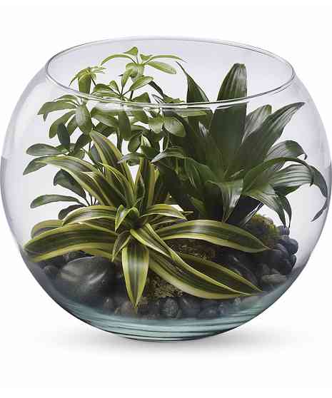 Sphere of Tranquility