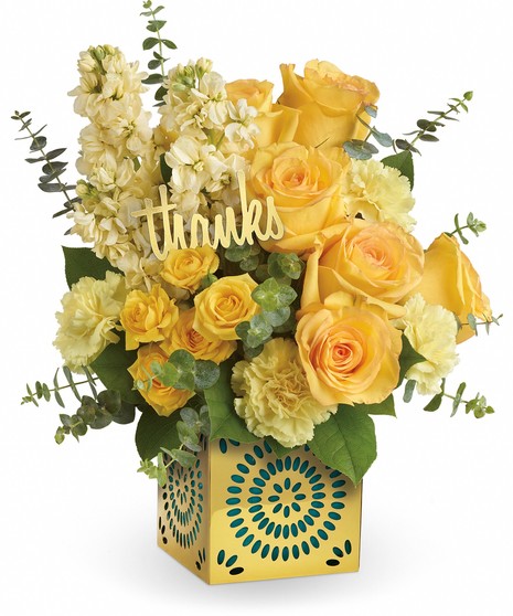 Shimmer Of Thanks