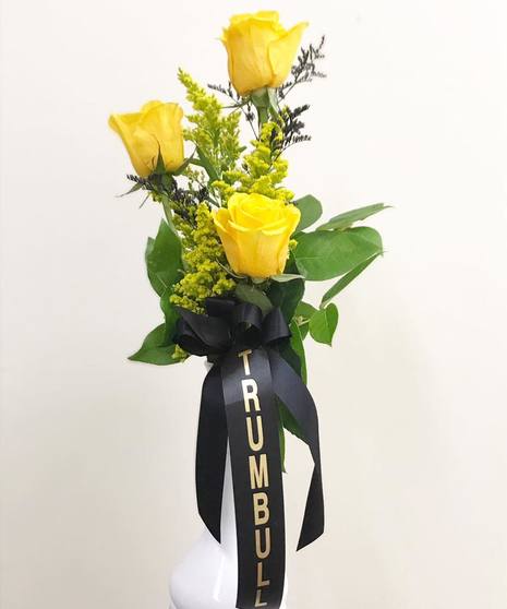 Trumbull Roses