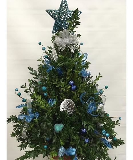 Blue & Silver Boxwood Tree