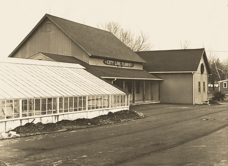 The view from our greenhouse, looking past our showroom