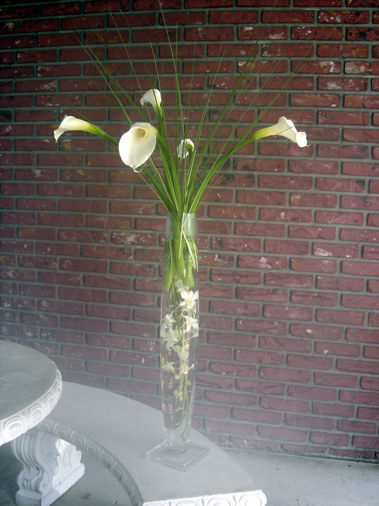 Tropical Home Design Ideas Tropical Home Design Ideas